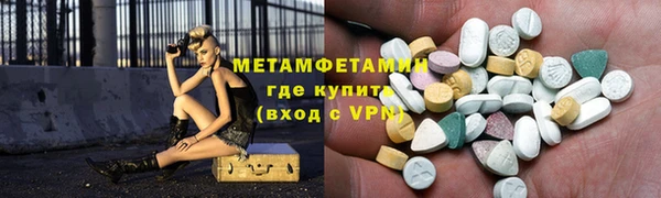 крисы Козловка