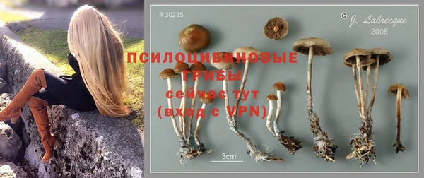 герыч Козельск