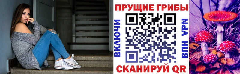 Галлюциногенные грибы мицелий наркошоп Бузулук