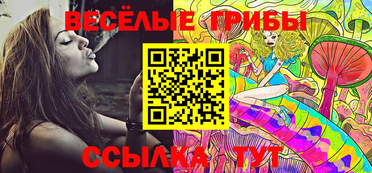Псилоцибиновые грибы мицелий Бузулук
